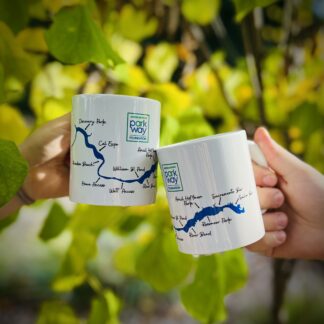 Parkway Decal Mugs